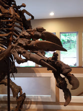 Load image into Gallery viewer, Giant Ground Sloth - SOLD