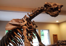 Load image into Gallery viewer, Giant Ground Sloth - SOLD