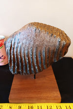 Load image into Gallery viewer, Mammoth Tooth