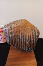 Load image into Gallery viewer, Mammoth Tooth