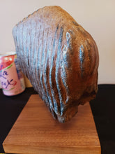 Load image into Gallery viewer, Mammoth Tooth