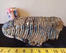 Load image into Gallery viewer, Mammoth Tooth Slice