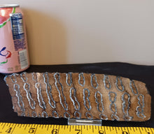 Load image into Gallery viewer, Mammoth Tooth Slice