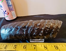 Load image into Gallery viewer, Mammoth Tooth Slice