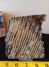 Load image into Gallery viewer, Mammoth Tooth Slice