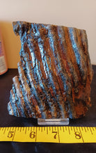 Load image into Gallery viewer, Mammoth Tooth Slice