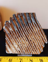 Load image into Gallery viewer, Mammoth Tooth Slice