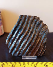 Load image into Gallery viewer, Mammoth Tooth Slice