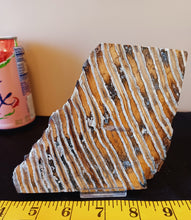 Load image into Gallery viewer, Mammoth Tooth Slice