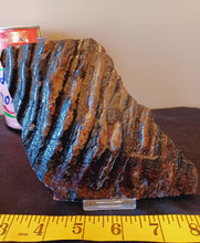 Load image into Gallery viewer, Mammoth Tooth Slice