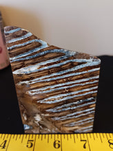 Load image into Gallery viewer, Mammoth Tooth Slice