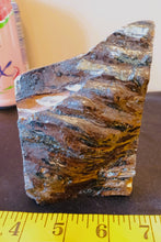 Load image into Gallery viewer, Mammoth Tooth Slice