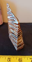 Load image into Gallery viewer, Mammoth Tooth Slice