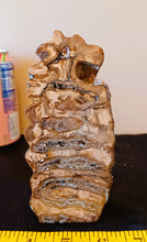 Load image into Gallery viewer, Mammoth Tooth Slice