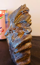 Load image into Gallery viewer, Mammoth Tooth Slice