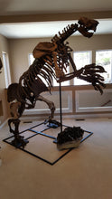 Load image into Gallery viewer, Giant Ground Sloth - SOLD