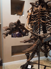 Load image into Gallery viewer, Giant Ground Sloth - SOLD