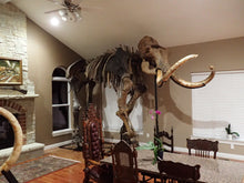 Load image into Gallery viewer, Alaskan Woolly Mammoth-SOLD