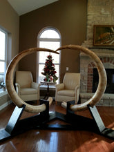 Load image into Gallery viewer, Impressive Matched Set Alaskan Mammoth Tusks - SOLD