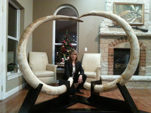 Load image into Gallery viewer, Impressive Matched Set Alaskan Mammoth Tusks - SOLD